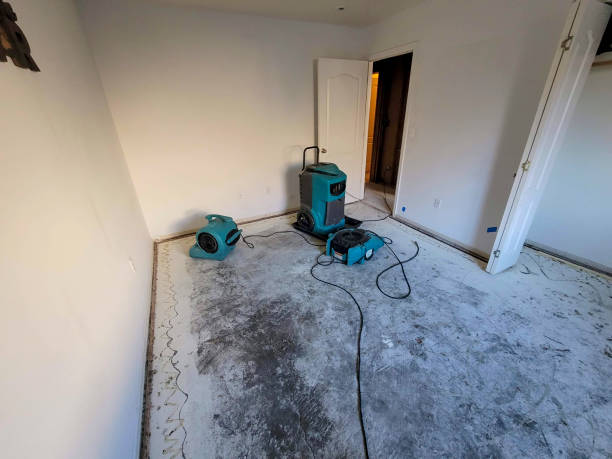 Best Water damage cleanup near me  in Grafton, ND