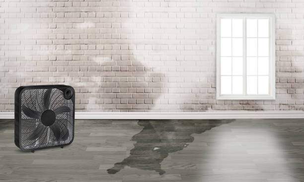 Best Sewage cleanup and water damage restoration  in Grafton, ND