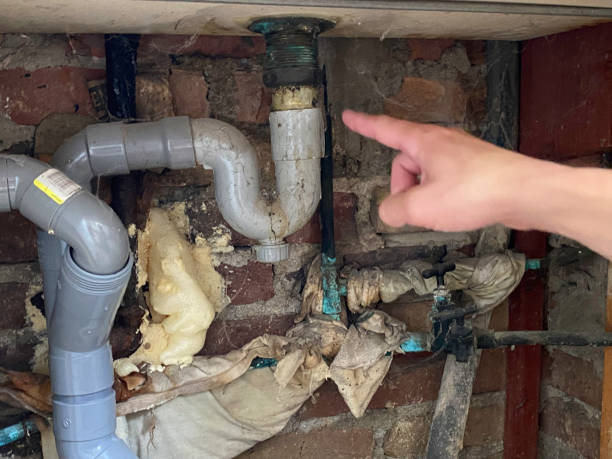 Best Flood damage cleanup  in Grafton, ND