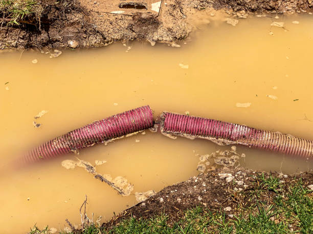 Best 24-hour water damage restoration  in Grafton, ND