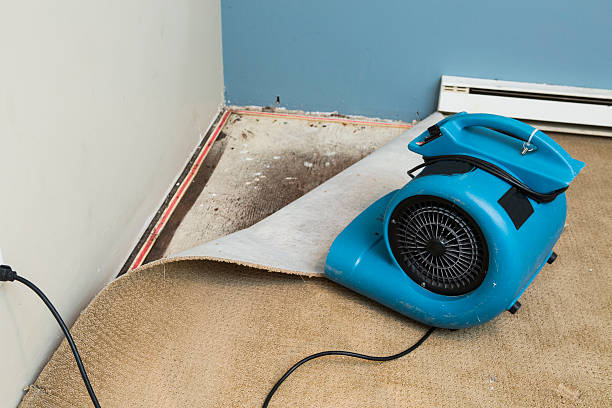 Best Commercial water damage restoration  in Grafton, ND