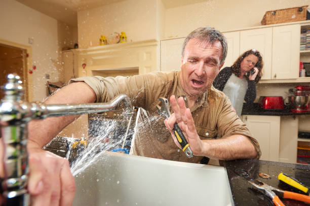 Best Fire Damage Restoration  in Grafton, ND